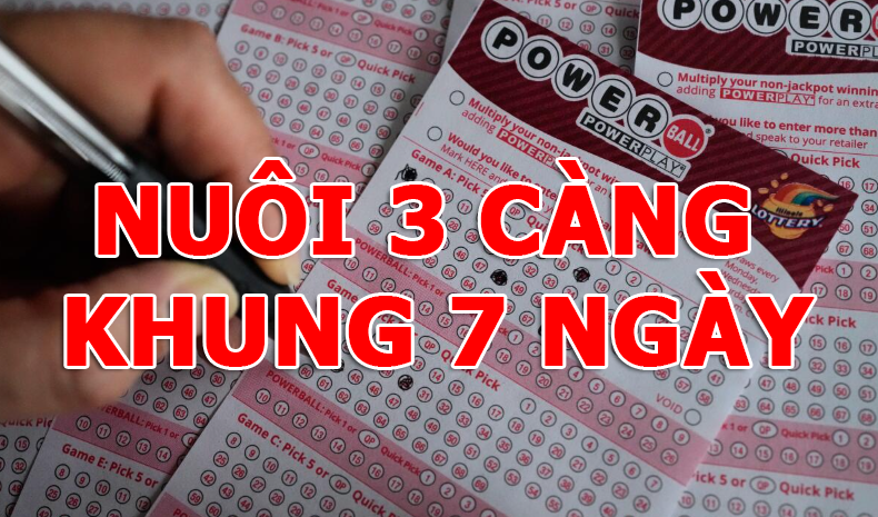 Nuôi 3 càng khung 7 ngày